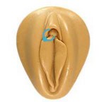 Le piercing clitoris