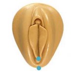 Le piercing fourchette