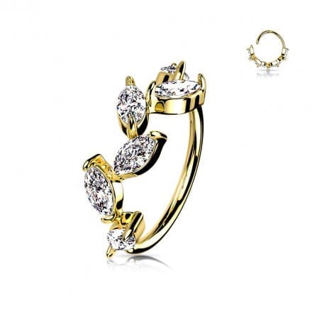 Piercing anneau nez